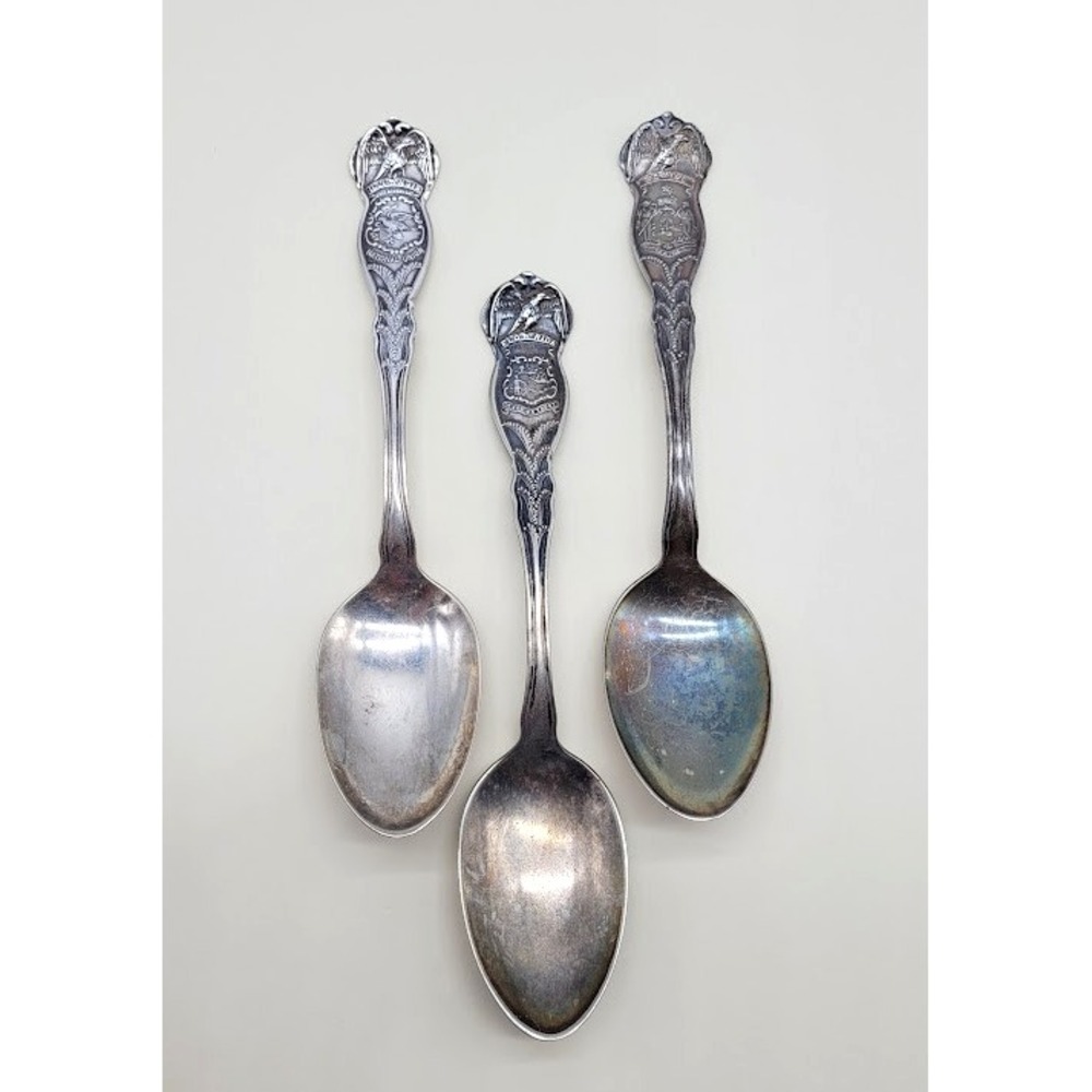 VTG LOT 3 State Souvenir Spoons Silver Plate Florida Maine Illinois WM Rogers